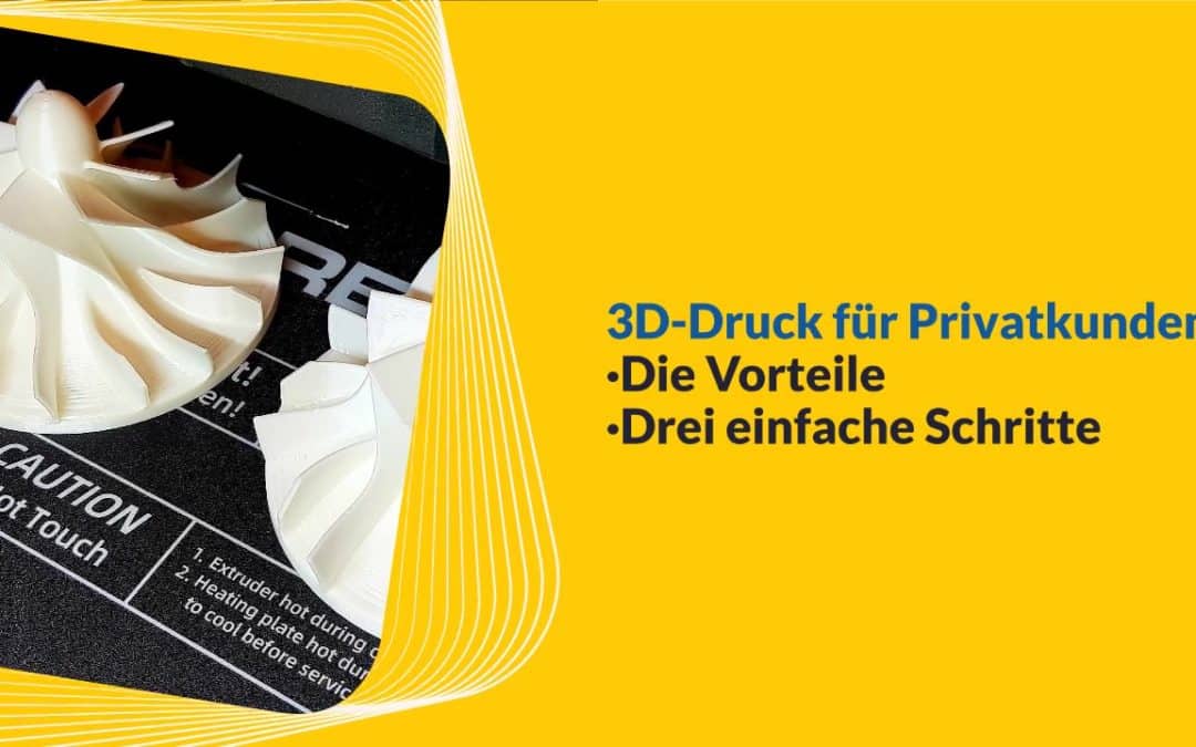 3D Druck für Privatkunden – die Vorteile.